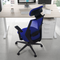 Belinda Ergonomic Office Chair, high back