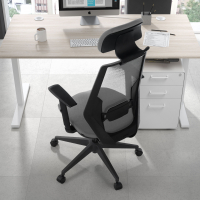 Belinda Ergonomic Office...