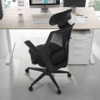 Belinda Ergonomic Office Chair, high back