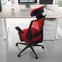 Belinda Ergonomic Office Chair, high back
