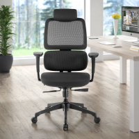 Bjorg Ergonomic Chair,...