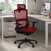 Ergonomic Chair Winter,...