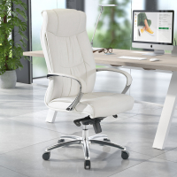 Executive Office Chair...