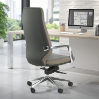 Executive office chair...