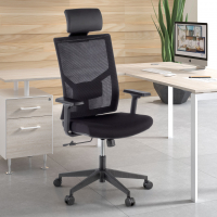 Ergonomic Office Chair...