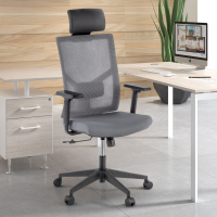 Ergonomic Office Chair...