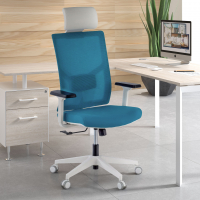Ergonomic Office Chair...