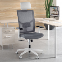 Ergonomic Office Chair...