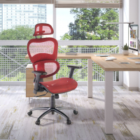 Ergonomic Chair Ergocity,...