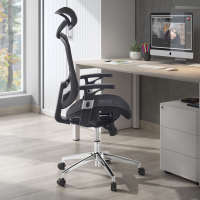 Flex Desk chair, adjustable...