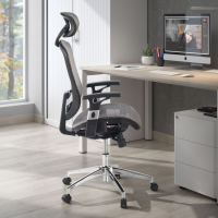 Flex Desk chair, adjustable arms, headrest