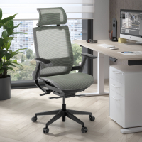 Apollo Office Chair, Fully...