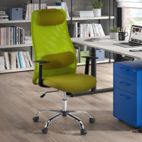 Sigma Office Chair, headrest, lumbar cushion