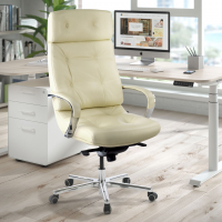 Luxury office chair...