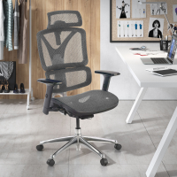 Focus Ergonomic Chair,...