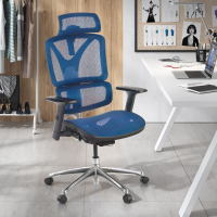 Focus Ergonomic Chair,...