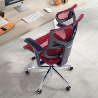 Next1 executive ergonomic...