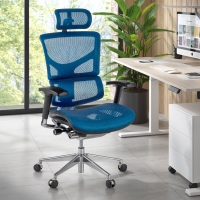 Next2 Ergonomic Chair, premium model with headrest