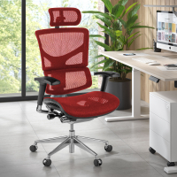 Next2 Ergonomic Chair,...