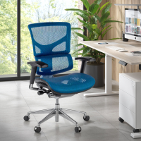 Next2 Ergonomic Chair,...