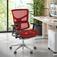 Next2 Ergonomic Chair,...