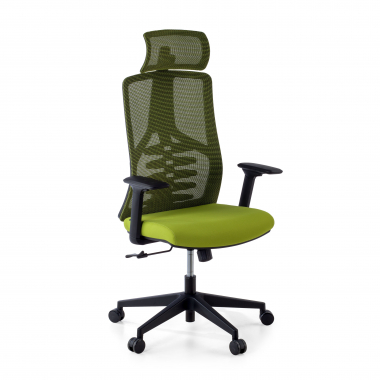 ergonomic chair green quick mesh 3d adjustable armrests lumbar support headrest 1