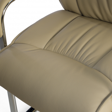 visitor chair beige sled base natural leather natural skin upholstered armrests 9