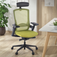 Wagner Ergonomic Chair,...