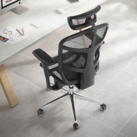 Dover Ergonomic home office...