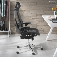 Thunder Ergonomic Chair,...