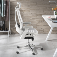 Thunder Ergonomic Chair, premium model, mesh