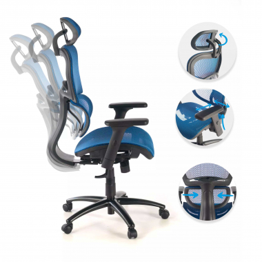 ergonomic chair blue black frame mesh 3d adjustable armrests double lumbar support headrest 3
