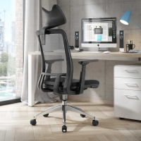 SILLA SHIFTER