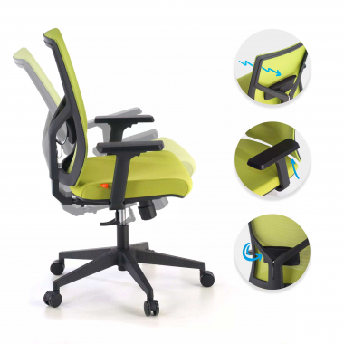Lumbar Support