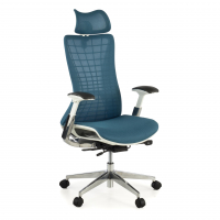 Professional Ergonomic...