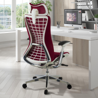 Professional Ergonomic...