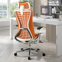 Professional Ergonomic...