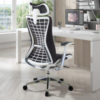 Professional Ergonomic...