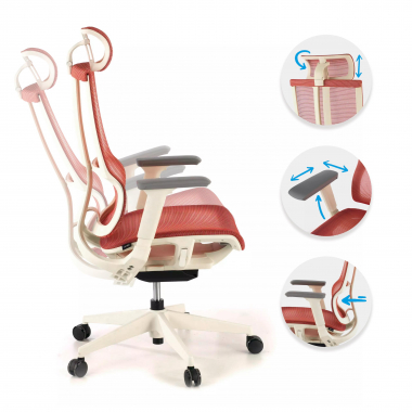 Doble Cojin Lumbar