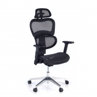 Ergonomic Chair Ergocity...