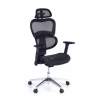 Ergonomic Chair Ergocity, lumbar cushion, 3D arms
