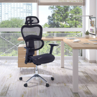 Ergonomic Chair Ergocity...