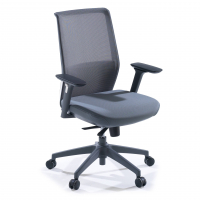 Professional office chair...