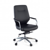 Executive office chair...