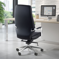 Executive office chair...