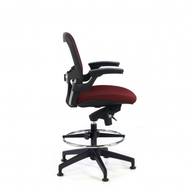 Lumbar Support