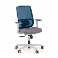 Professional office chair...