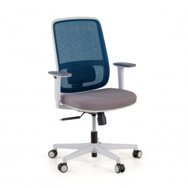 office chair white blue white frame mesh 1d adjustable armrests lumbar support 1