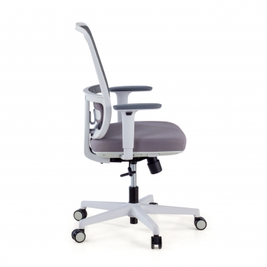 Lumbar Support