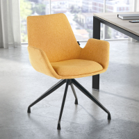 Glamm meeting chair, thick...